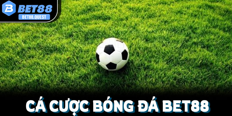 Tuyển tập các câu hỏi thường gặp giúp bạn tự tin làm chủ bảng cược khi tham gia cá cược bóng đá Bet88
